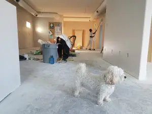 remodeling a home